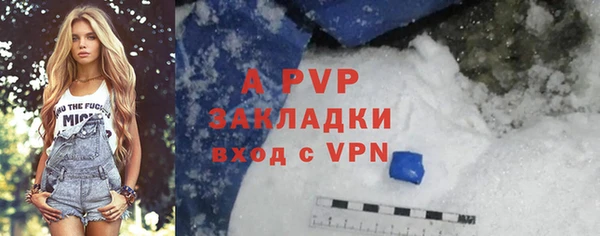 шишки Михайловск