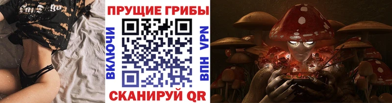 Псилоцибиновые грибы мицелий  MEGA ссылки  Чекалин 