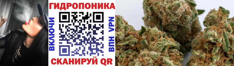 Каннабис THC 21%  OMG tor  Чекалин 